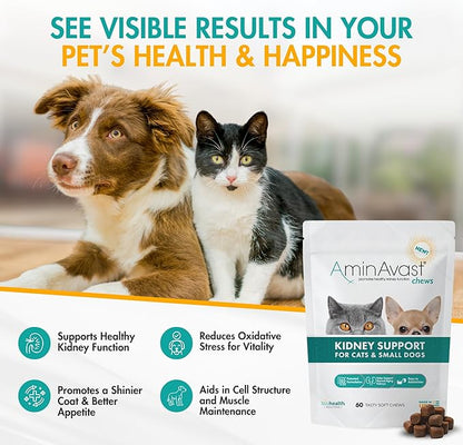 AminAvast Small Dogs & Cat Kidney Support - Promotes Healthy Kidney Support in Cats & Small Dogs - 300mg (60 Chews)