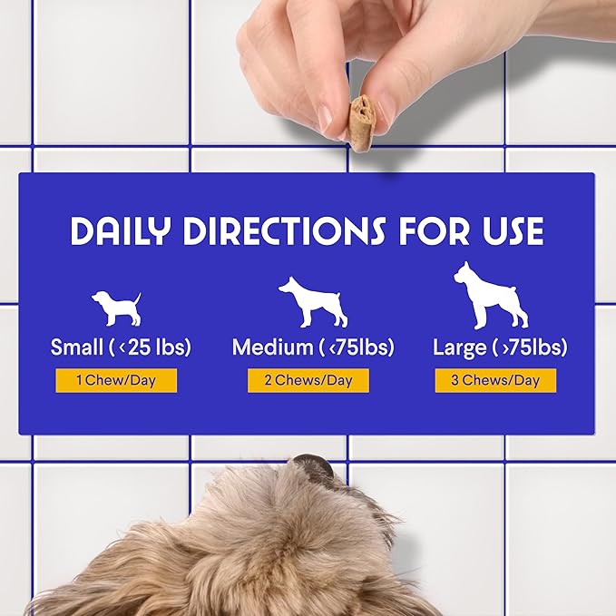Wonder Paws Probiotics for Dogs – Daily Probiotic Supports Gut Health, Digestion, Gas, Bloating, Constipation, Stomach Relief & Immune Support - With Natural Probiotic & Prebiotic – 90 Probiotic Chews