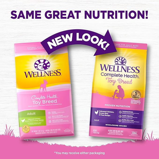 Wellness Complete Health Toy Breed Adult Dry Dog Food, Wholesome Grain Kibble, Natural, Chicken, Brown Rice, and Peas Recipe, 4 lb Bag