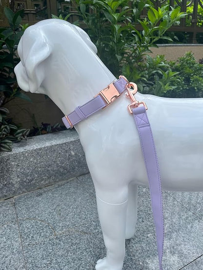 Dog Collar and Leash Set.Soft and Easy to Clean Vegan Leather with Rose Gold Metal Buckle for Small Medium Large Dogs (Light Purple, XS(8"-12"))