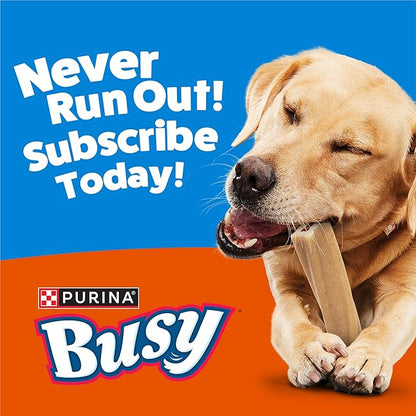 Purina Busy Bone Adult Dog Chew Bone Treats, Peanut Butter - 10 ct. Pouch