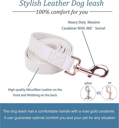 Dog Collar and Leash Set.Soft and Easy to Clean Vegan Leather with Rose Gold Metal Buckle for Small Medium Large Dogs (Off-White, XS(8"-12"))
