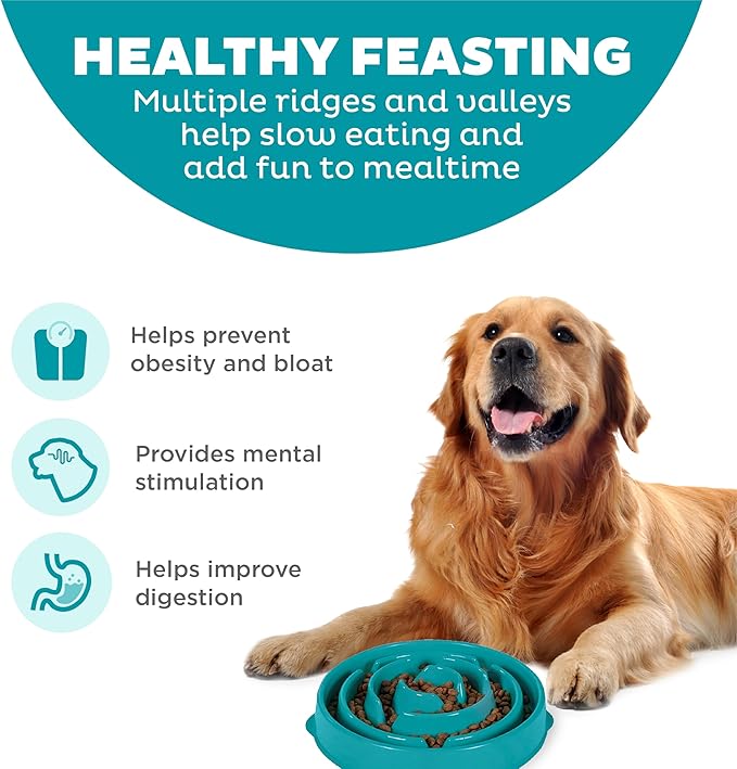 Outward Hound Fun Feeder Slo Bowl – Large 4‑Cup Capacity, Slow Feeding, Medium to Large Dogs, Non‑Slip, Turquoise, Drop Pattern