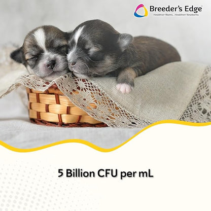 Revival Animal Health Breeder's Edge Nurture Flora for Puppies & Kittens | Colostrum Supplement for Puppies & Kittens | Protein & Vitamins & Minerals | Easy to Digest | 30ml Easy to Administer