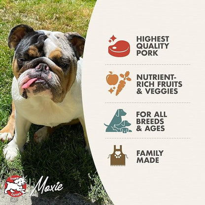 Fromm Four-Star Nutritionals Pork & Peas Dog Food - Premium Dry Dog Food - Pork Recipe - 26 lb
