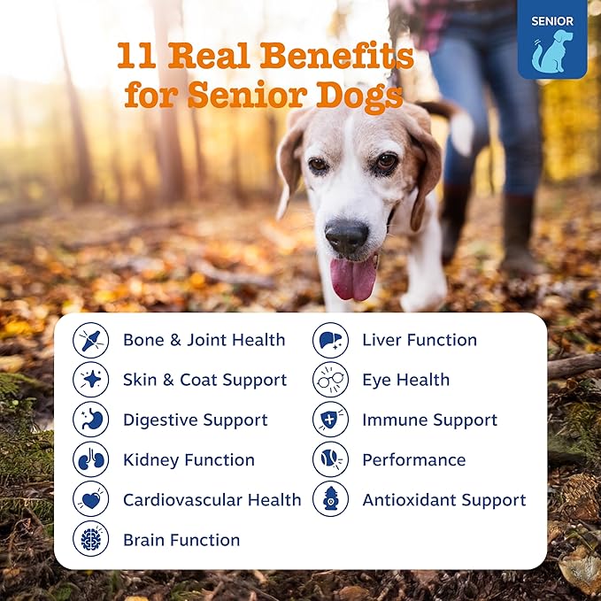 Zesty Paws Senior Dog Multivitamin Treats - Glucosamine for Dogs + Digestive Enzymes & Probiotics - Grain Free Dog Vitamins and Supplements for Skin & Coat + Immune Health Chicken - Advanced - 60ct