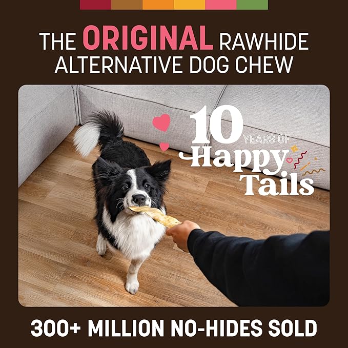 Earth Animal No Hide Strips - Natural Rawhide Free Dog Chew Strips, Salmon - 16 Count