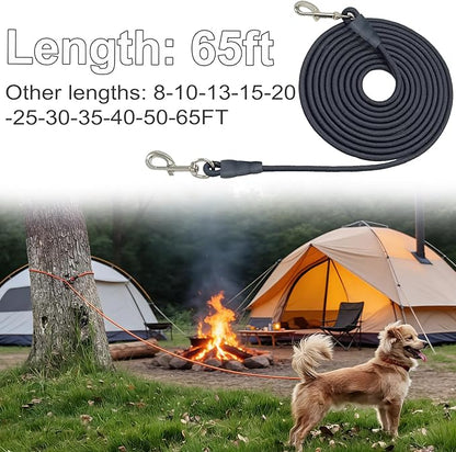 65FT Dog Tie Out Leash, Long Tether 8-10-13-15-20-25-30-35-40-50 FT Nylon Rope Check Cord for Medium Large Dogs Outdoor Yard Playing Camping Backyard (Black, 3/8")
