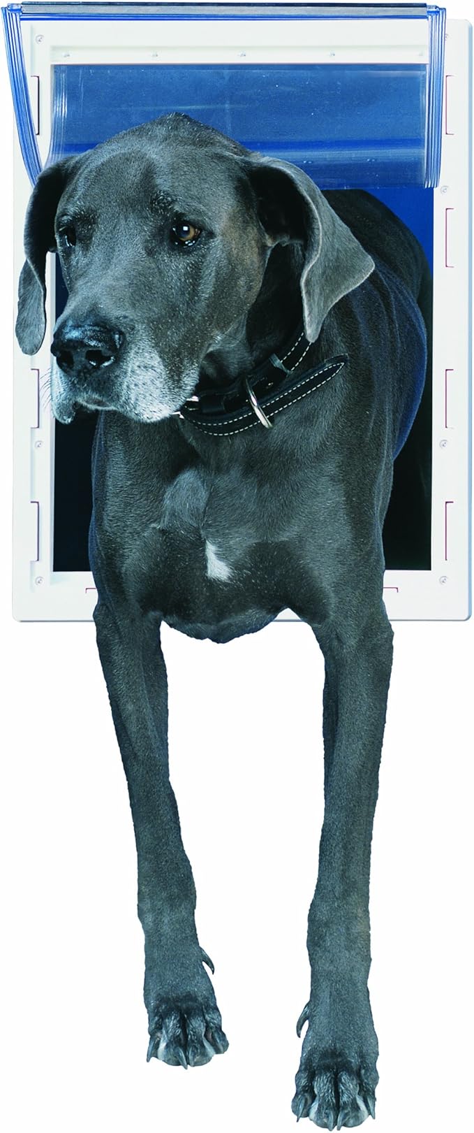 Perfect Pet Pet Door with Telescoping Frame, Super Large, 15" x 20" Flap Size