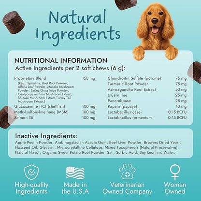 Pet Vet Multi Soft Chews for Dogs (Beef Liver, 60 Chews) – Multi, Probiotics for Digestive Health – Glucosamine, Skin Supplement – Immune Support, Supplements