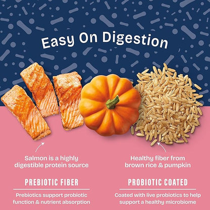 Natural Balance Health Protection Large Breed Dry Dog Food – Whole Body Health, Easy on Digestion Dog Food Made with Salmon, Brown Rice & Pumpkin for Dogs - 26lbs