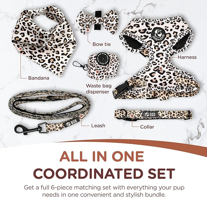 No Pull Harness and Leash Set - 6-in-1 Adjustable Vest Harness and Collars for Medium and Large Dogs. (Leopard, Small)