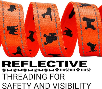 EcoBark Dog Leash - Soft & Reflective Comfort Training Leashes with Padded Handle - Safe, Strong, & Durable for Small, Medium or Large Dogs (Orange)