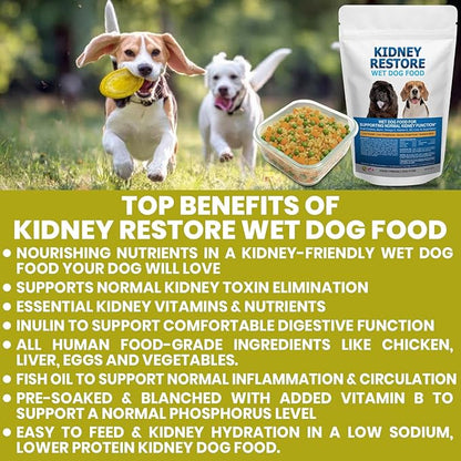 Non-Prescription Kidney Care Dog Food for Renal Support - Low Sodium Diet for Healthy Kidneys, Low Phosphorus Renal Food, Super Nutrients Make This Best Kidney Diet, Freshly Made in USA - 16 Ounce