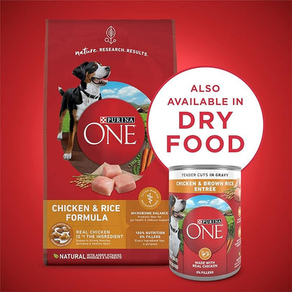 Purina ONE Natural High Protein Dog Food, Tender Cuts in Gravy Chicken and Brown Rice Entrée - 13 Ounce (Pack of 24)