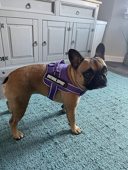 voopet Service Dog Harness, Emotional Support Pet Vest Harness, Reflective Breathable and Adjustable No-Pull ESA Dog Harness for Small Medium Large Dogs (with 4 PCS Removeable Tags)
