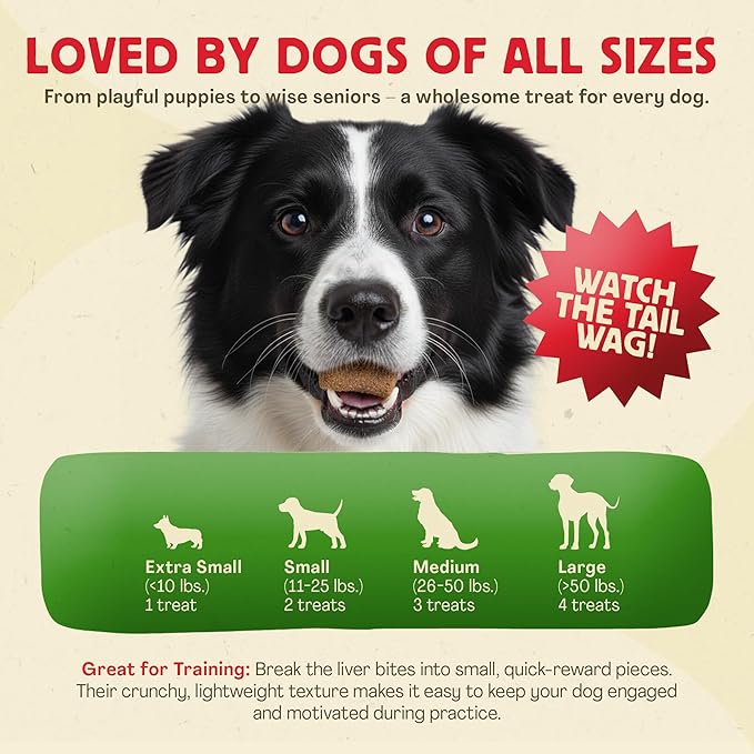 Chewmasters 100% Pure Beef Liver Bites - Healthy Freeze Dried Liver Treats for Dogs of All Life Stages - High Protein Dog Training Treats, Grain Free, All Natural, Zero Additives - Made in USA, 17.6oz