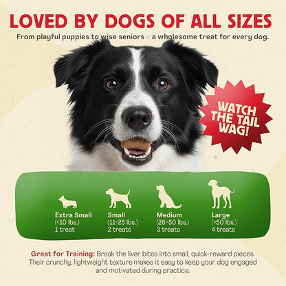 Chewmasters 100% Pure Beef Liver Bites - Healthy Freeze Dried Liver Treats for Dogs of All Life Stages - High Protein Dog Training Treats, Grain Free, All Natural, Zero Additives - Made in USA, 17.6oz