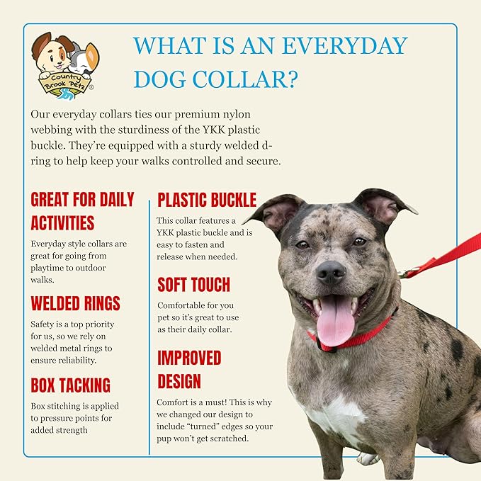 Country Brook Petz - Everyday Nylon Dog Collar for Large, Medium, and Small Dogs and Puppies - for Everyday Use in 10+ Warm Colors (Extra Large, 1 Inch Wide, Bright Red)