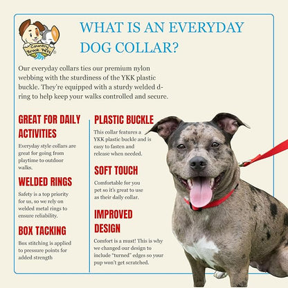Country Brook Petz - Everyday Nylon Dog Collar for Large, Medium, and Small Dogs and Puppies - for Everyday Use in 10+ Warm Colors (Extra Large, 1 Inch Wide, Bright Red)
