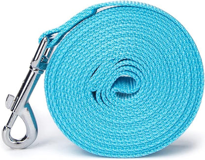 Strong Durable Nylon Dog Training Leash, 1 Inch Wide Traction Rope, 6 ft Long, for Small and Medium Dog (Mint Blue, 6 Feet)
