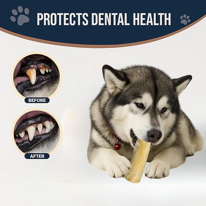 Set of 2 Coffee Wood Dog Chew Stick Toy, Natural and Real Wooden Bone Sticks, Safe Dental Cleaning Chews, Pet Health, Teeth Cleaning and Relieve Stress (Set 2 for Large Dog)