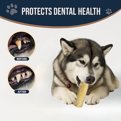 Set of 2 Coffee Wood Dog Chew Stick Toy, Natural and Real Wooden Bone Sticks, Safe Dental Cleaning Chews, Pet Health, Teeth Cleaning and Relieve Stress (Set 2 for Large Dog)