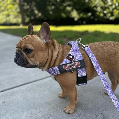 BULLHUG 6 FT Bulldog Leash with Padded Handle. Perfect for Bulldogs, French Bulldogs, Pugs & All Breeds. Leashes for Walking, Training Lead for Bulldogs (Purple Floral)