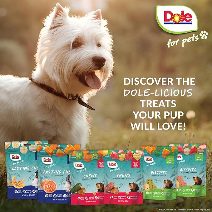 Dole for Pets Dog Biscuits Assorted Spinach + Pumpkin Mix, Real Vegetable Flavor Vegan Crunchy Treats, No Wheat Corn Soy or Artificial Additives, Bite Size Training Snacks for Dogs, 7 Oz - 6 Pack
