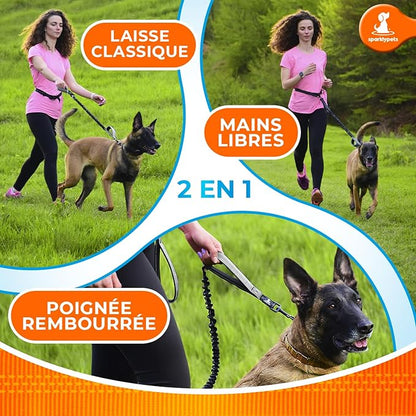 SparklyPets - Hands Free Dog Leash with Reflective Stitches - Waist Leash for Dog Walking, Hiking, Training, Jogging, Canicross, Running - for Medium & Large Breeds