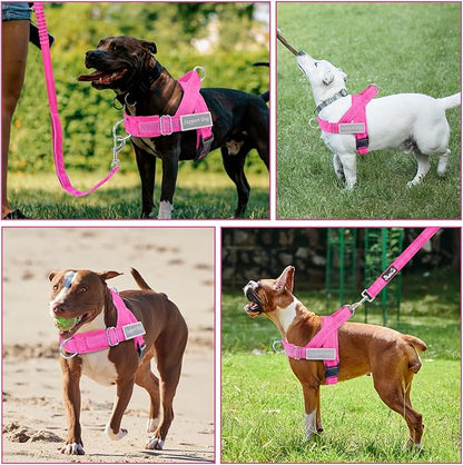 SlowTon No Pull Dog Harness - Heavy Duty Dog Harness and Leash Set for Medium Large Dogs, Reflective Tactical Harness with Soft Padded and Front Clip for Easy Walk and Training (Fuchsia L)