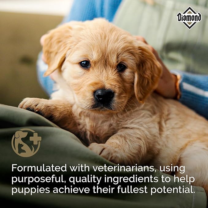 Diamond Puppy Dry Dog Food 31/20 for All Life Stages Including Puppies and Pregnant and Nursing Adult Dogs 6lb Bag