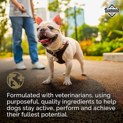 Diamond Maintenance Adult Dry Dog Food 22/12 for Moderately Active Dogs 40lb Bag