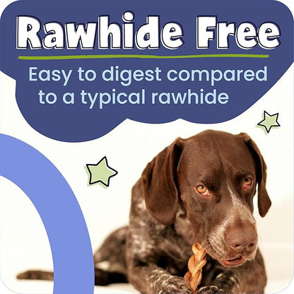 Pawstruck Natural 7” Braided Bully Sticks for Dogs, Tough Long-Lasting, Rawhide-Free, Low Odor, Healthy Single Ingredient Chew Treat for Aggressive Chewers, 10 Count, Packaging May Vary