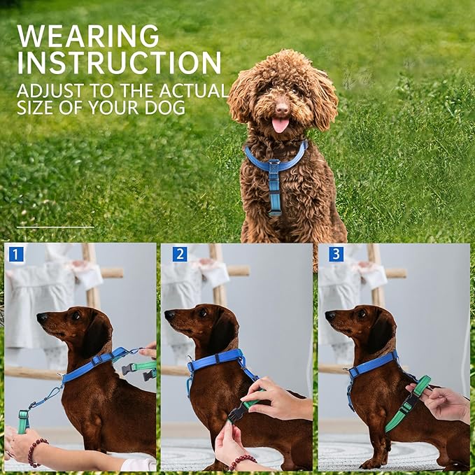 Roses&Poetry Dog Harness Small Sized Dog, 6 Point Adjustable Fit No Pull Harness with Handle for Control and Easy Walking, Reflective Pet Halter Harnesses（Bluegreen-S）