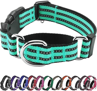 Hikiko Martingale Dog Collars Reflective Nylon Dog Collar with Quick Release Buckle Adjustable Training No Slip Dog Collar (Large, Turquoise)