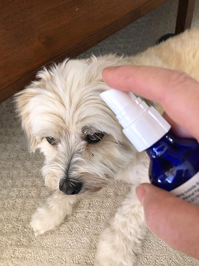 Clear - Natural, Electrolyte, Odorless Pet Supplement That Reduces Allergies and Coughing Naturally (Dropper, 1 Ounce)