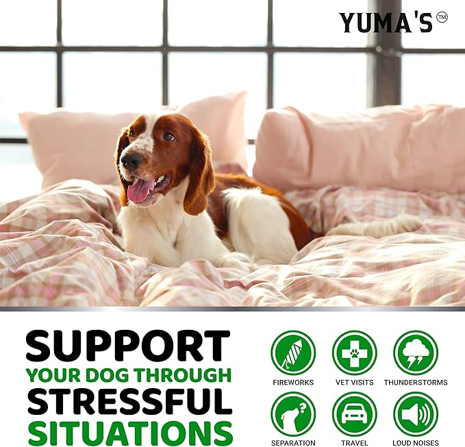 Hemp Calming Chews for Dogs - Advanced Dog Calming Chews - 170 Chews - Anxiety Relief Treats - Separation Aid, Barking, Stress Relief, Thunderstorms - Melatonin - Hemp Oil - Made in USA