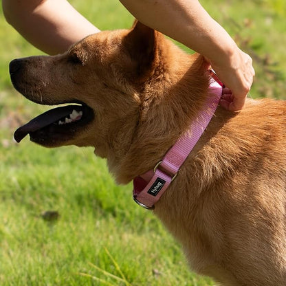 Hyhug Martingale Collar for Dogs Extra Large Pink |Escape - Proof Heavy Duty Nylon Durable No Pull, Ideal for Training & Daily Walks