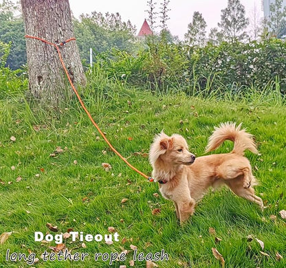Tie Out Rope Dog Leash, Long Tether 8-10-13-15-20-25-30-35-40-50-65FT Nylon Check Cord for Medium Large Dogs Outdoor Playing Camping Backyard (Black, 3/8" x 25ft)