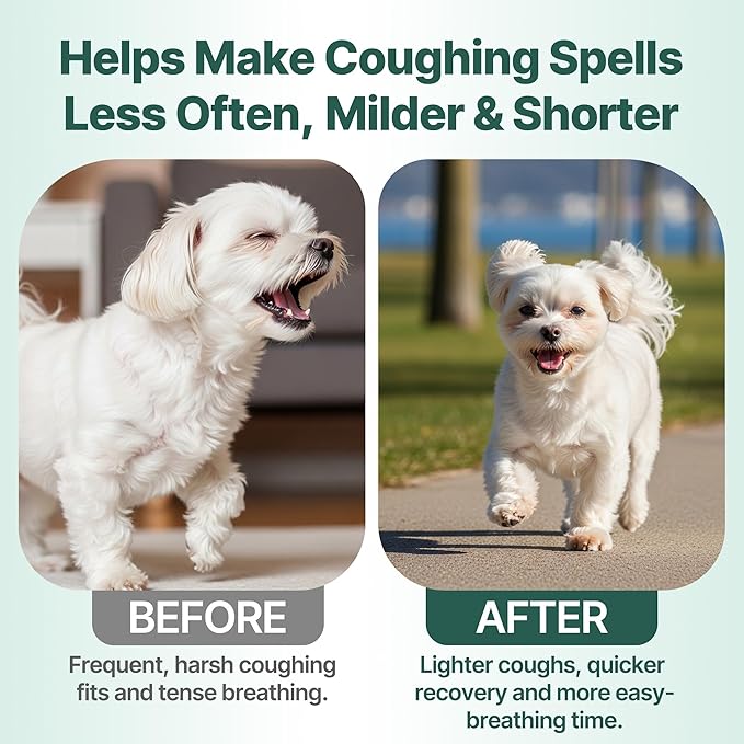 Collapsed Trachea Treatment for Dogs, Trachea Cough Elixir, Dog Cough Treatment –Natural Herbs Respiratory Support, Promotes Throat Comfort and Breathe Smoothly for Honking Cough, Gagging and Wheezing