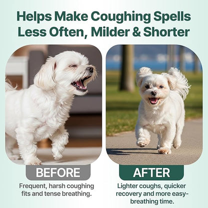 Collapsed Trachea Treatment for Dogs, Trachea Cough Elixir, Dog Cough Treatment –Natural Herbs Respiratory Support, Promotes Throat Comfort and Breathe Smoothly for Honking Cough, Gagging and Wheezing