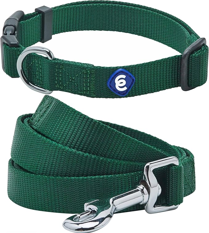 Blueberry Pet Essentials Matching Dog Collar and Leash Set in Verdant Green, Adjustable Classic Solid Color Nylon Collar with 4 ft Leash for Large Dogs