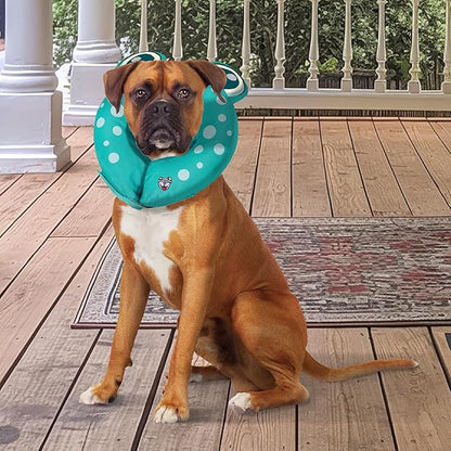 Frog Inflatable Recovery Collar, Comfortable Cone Replacement for Pet Surgery, Protective Collars to Prevent Licking & Biting, Size Large