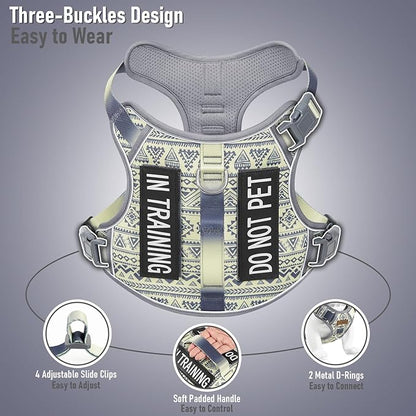 AUNZO No-Pull Dog Harness for Small Breeds, Anti-Escape Walking Reflective Adjustable Lightweight Puppy Vest, Breathable Oxford Material, Easy On/Off With Neck Buckle, Gray XS