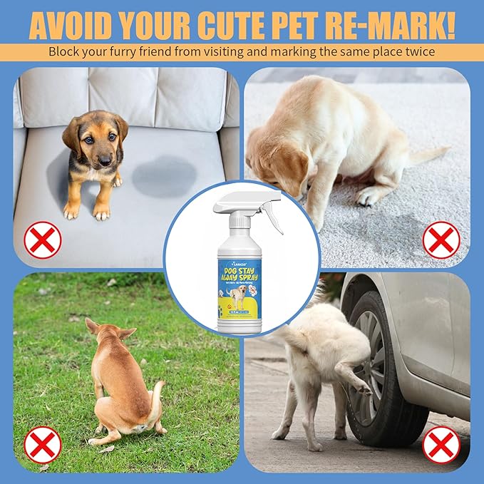 16oz Dog Behavior Correction Spray - Dog Not Here Pee - Training Aid Spray for Dogs - Easy-to-Use Spray for Marking Habits, Help Dogs Stop Marking in Your Home