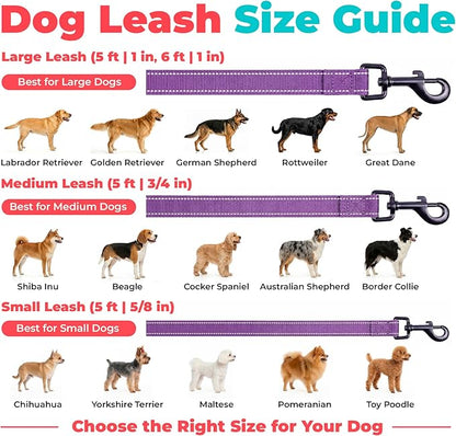 Best Pet Supplies Voyager Reflective Dog Leash or Collar with Neoprene Handle, for Small, Medium, and Large Breed Puppies, Cute and Heavy Duty for Walking, Running and Training - Purple (Leash), L