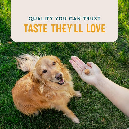 VetIQ Flea & Tick Support for Dogs, Flea and Tick Chewable, Supports Dog's Natural Flea Defenses, Free of Added Chemicals and Garlic, Hickory Smoke Flavor, 60 Count