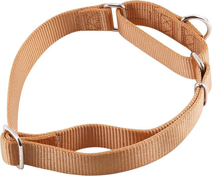 Hyhug Martingale Collar for Dogs Large Pink |Escape - Proof Heavy Duty Nylon Durable No Pull, Ideal for Training & Daily Walks