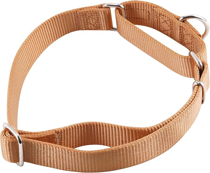 Hyhug Martingale Dog Collar Medium Clay |Escape - Proof Heavy Duty Nylon Durable No Slip, Ideal for Training & Daily Walks